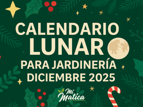 Calendario lunar jardinería diciembre 2025 – Luna llena