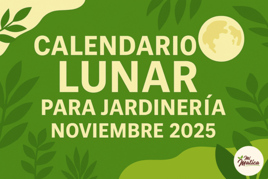 calendario lunar para jardinería noviembre 2025 Mi Matica