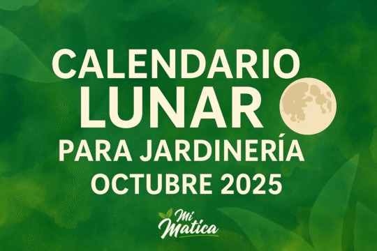Calendario lunar jardinería octubre 2025 – Luna llena