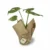 monstera-thai-constellation