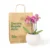 orquidea-baby-blanca-en-matera-esfera
