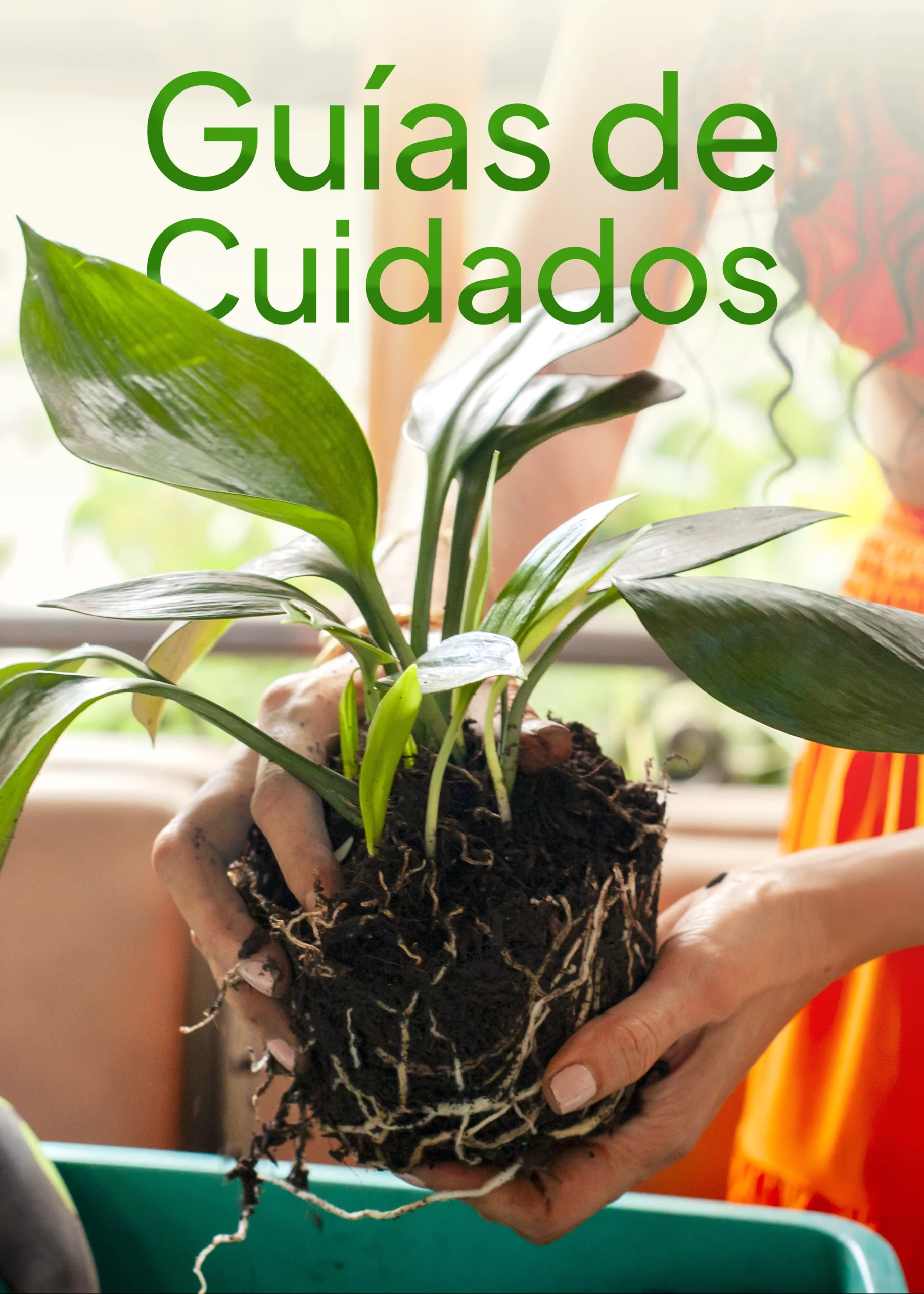 Guías de cuidado de plantas