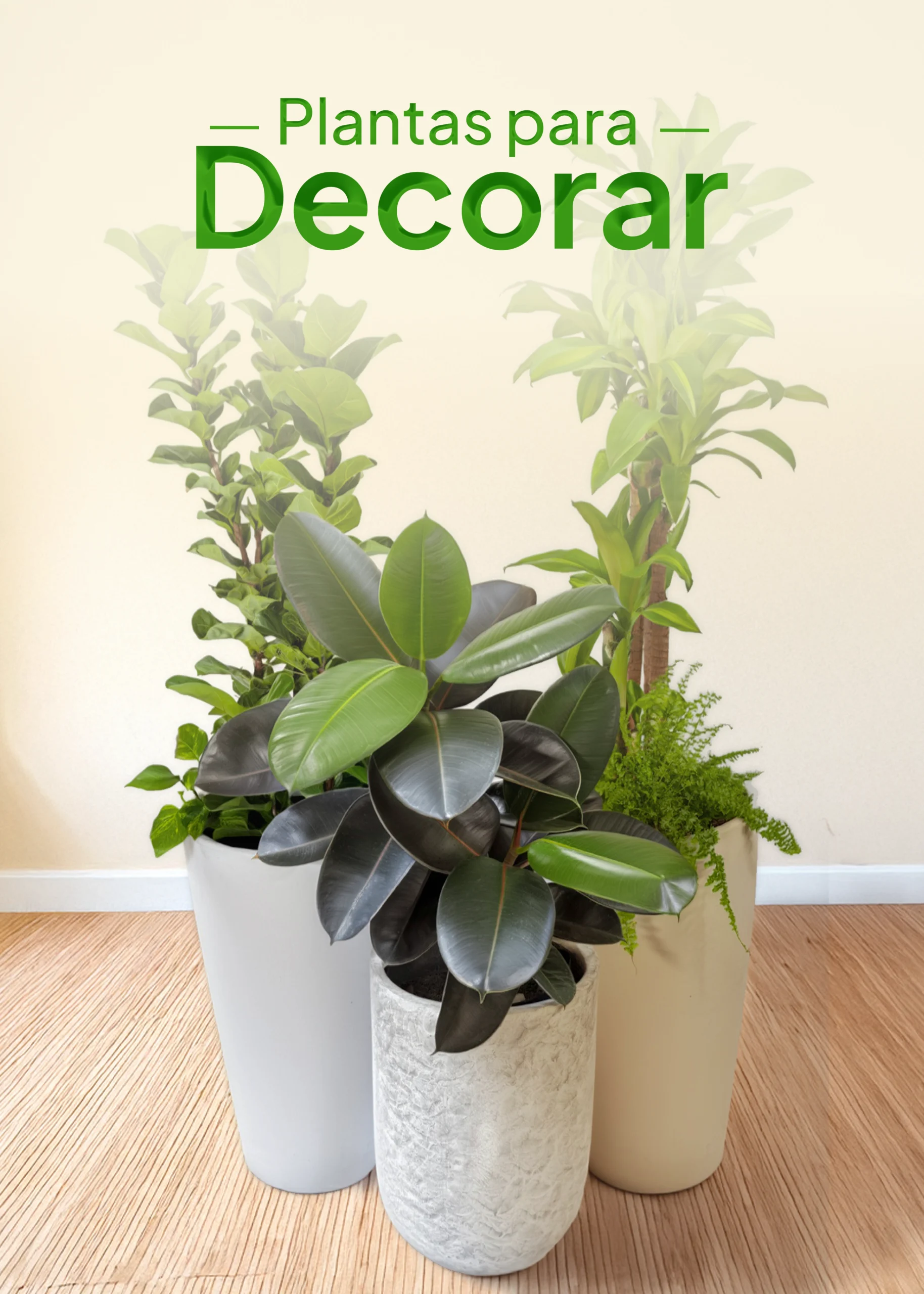 plantas para decorar