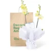 Orquídea Amarilla para Condolencias con 2 Varas Florales