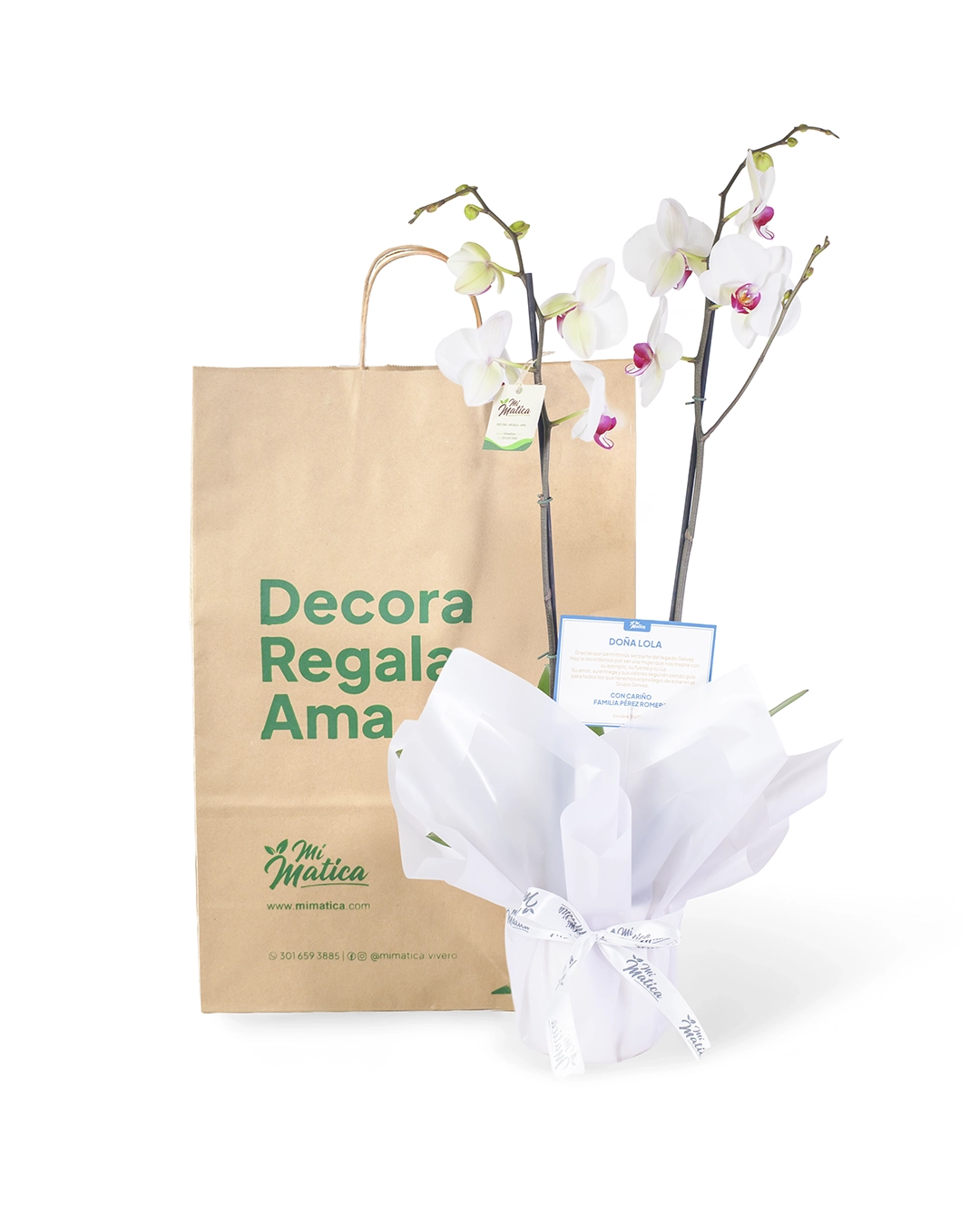 OrquΓdea Blanca Centro Fucsia para Condolencias con 2 Varas Florales