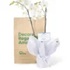 Orquídea Blanca para Condolencias con 2 Varas Florales