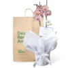 Orquídea Durazno para Condolencias con 2 Varas Florales