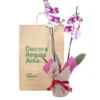 Orquídea Morada Moteada para Regalo con 2 Varas Florales
