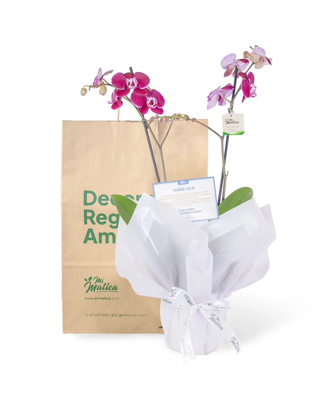 Orquídea Morada para Condolencias con 2 Varas Florales