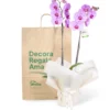 Orquídea Rosa para Condolencias con 2 Varas Florales