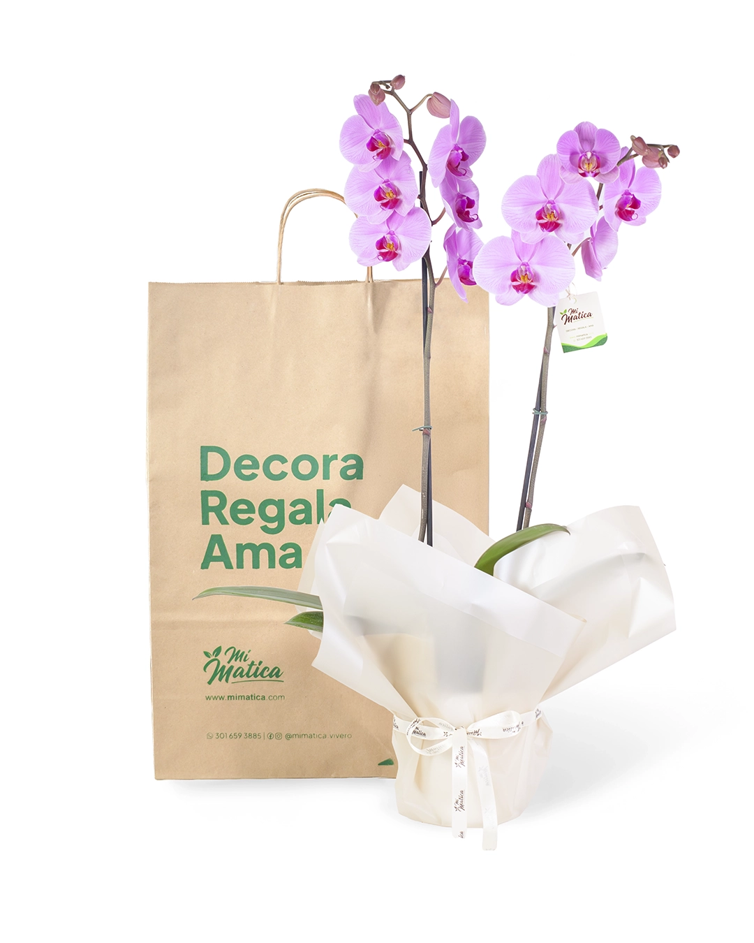 OrquΓdea Rosa para Condolencias con 2 Varas Florales