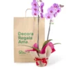 Orquídea Rosa para Regalo con 2 Varas Florales