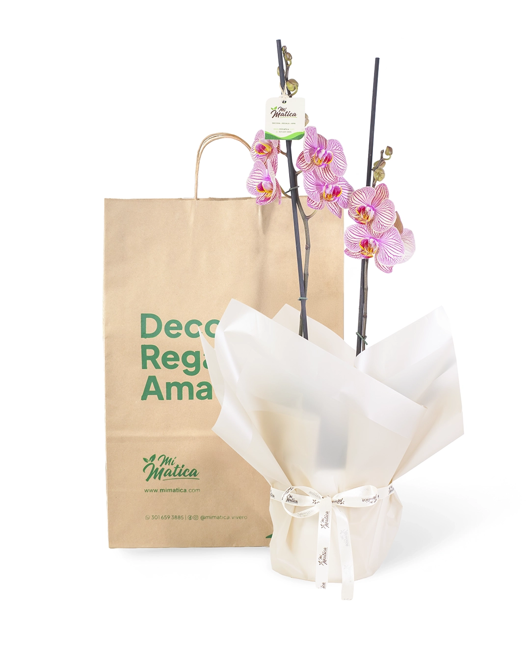 OrquΓdea Fucsia Estriada para Condolencias con 2 Varas Florales