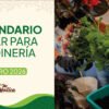 Calendario lunar enero 2026 jardinería Colombia - Fases lunares Mi Matica