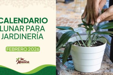 Calendario lunar febrero 2026 jardinería Colombia - Fases lunares Mi Matica