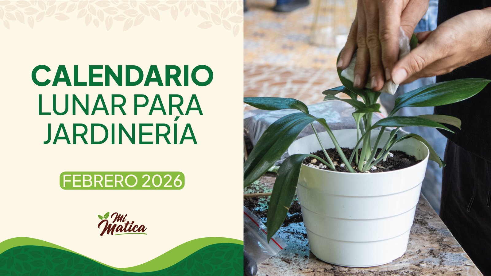 Calendario lunar febrero 2026 jardinería Colombia - Fases lunares Mi Matica