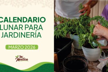 Calendario lunar marzo 2026 jardinería Colombia - Fases lunares Mi Matica