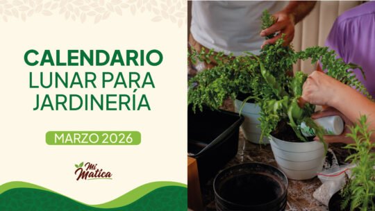 Calendario lunar marzo 2026 jardinería Colombia - Fases lunares Mi Matica