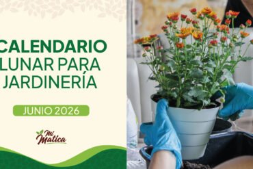 Calendario lunar junio 2026 jardinería Colombia - Fases lunares Mi Matica