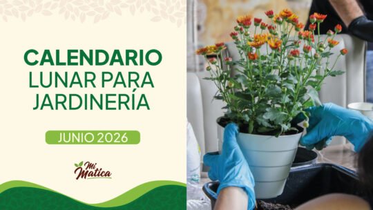 Calendario lunar junio 2026 jardinería Colombia - Fases lunares Mi Matica