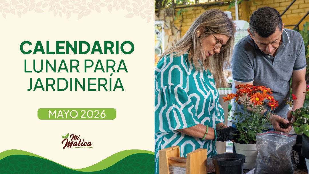 Calendario Lunar Mayo 2026: Control, Mantenimiento y una “Luna Azul”